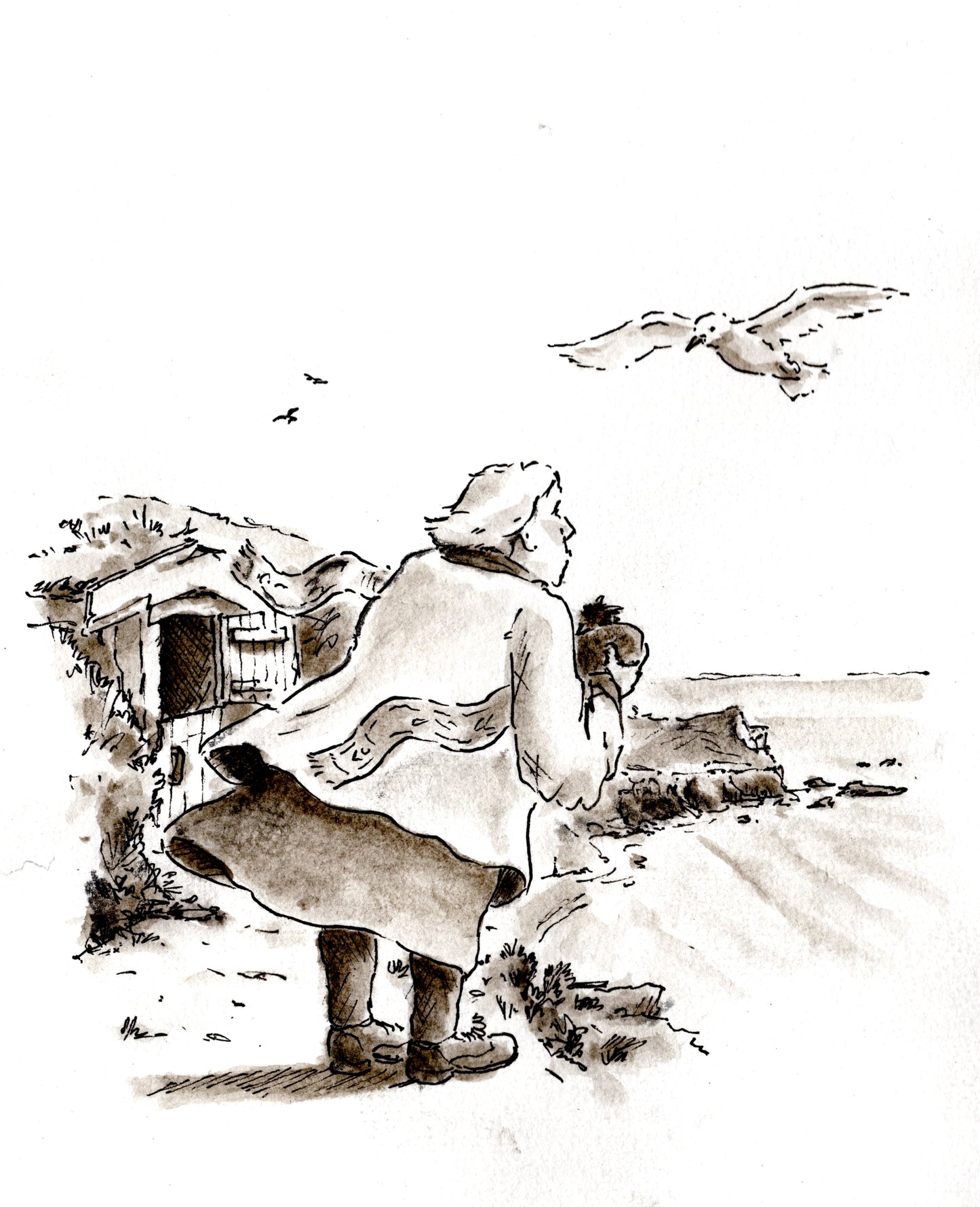 Illustrations for 12 Stories for 12 Sections Anthology