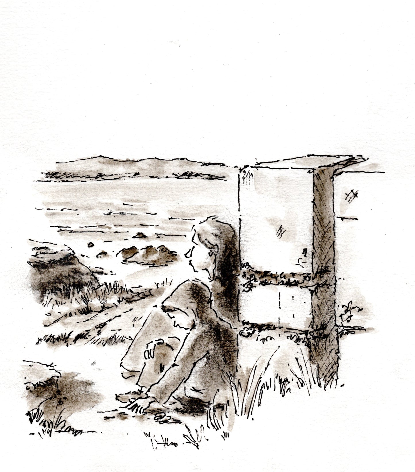 Illustrations for 12 Stories for 12 Sections Anthology