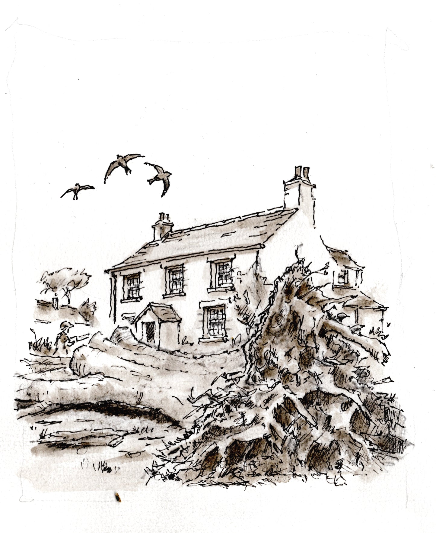 Illustrations for 12 Stories for 12 Sections Anthology
