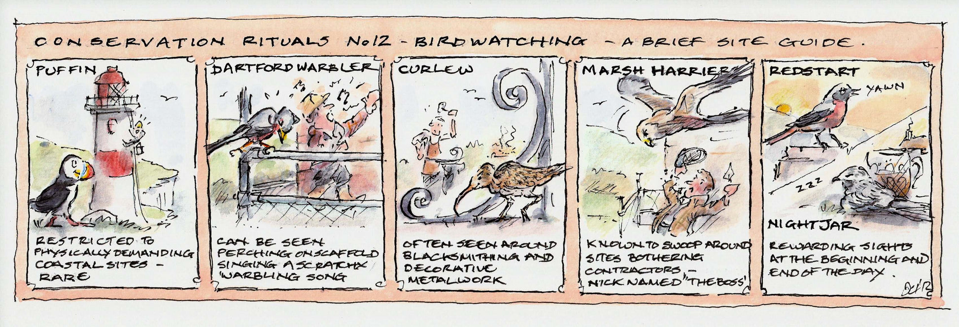 Bird Watching