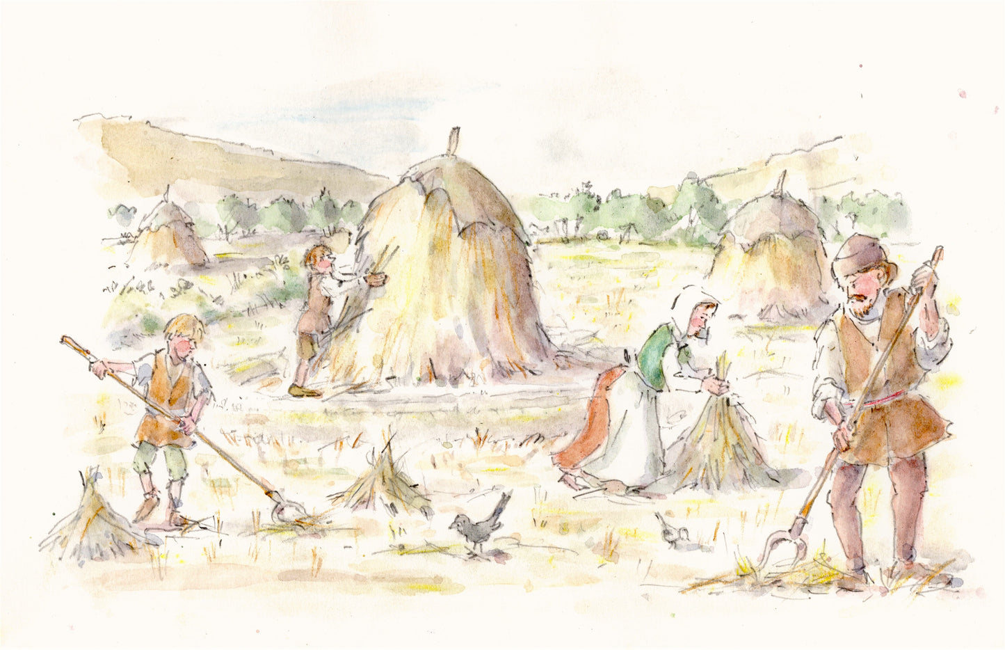Illustration for Wensleydale Dairy Days project