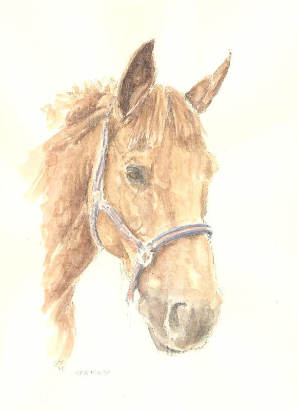 Horse 1