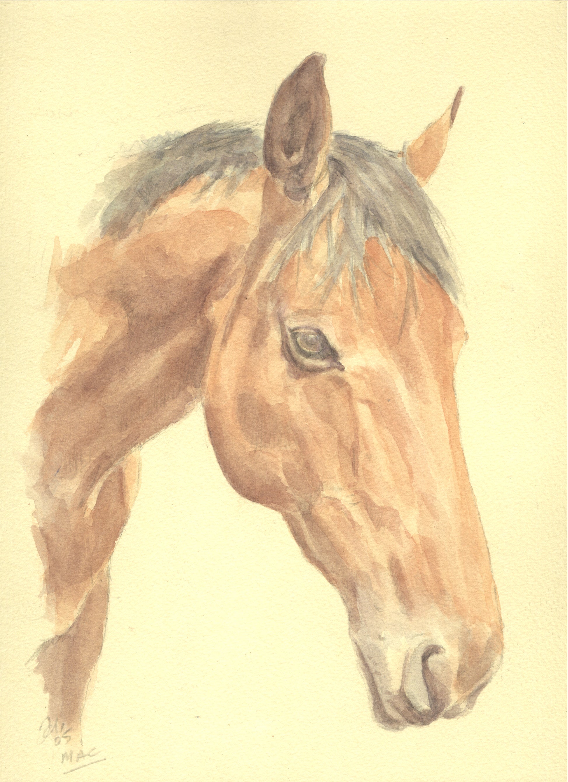 Horse 2