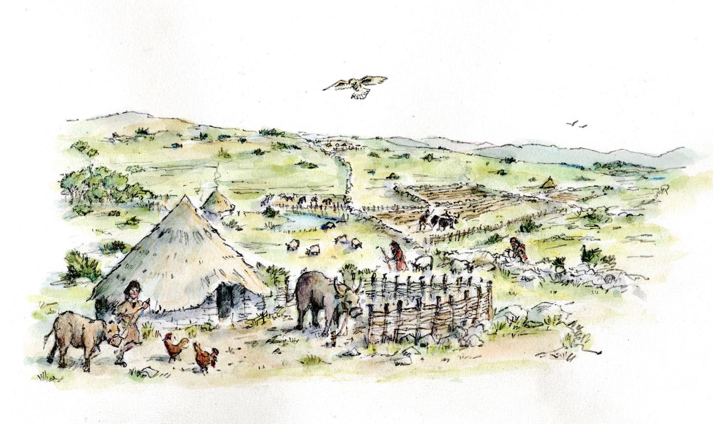 Interpretation of Little Asby Common