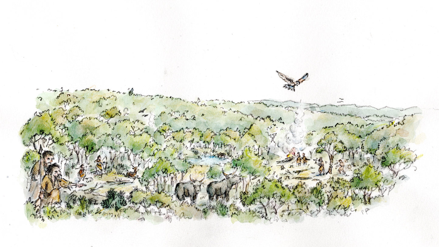 Little Asby common Mezolithic Period