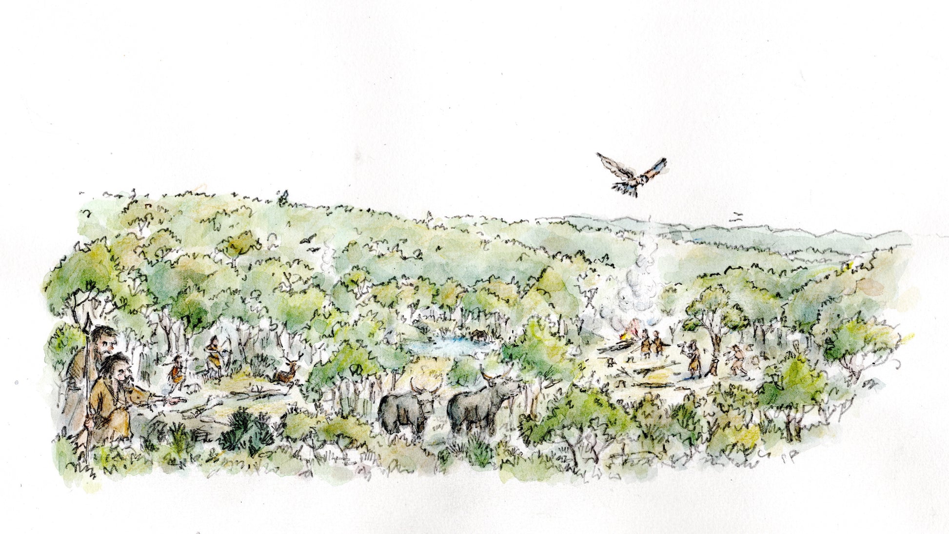 Little Asby common Mezolithic Period
