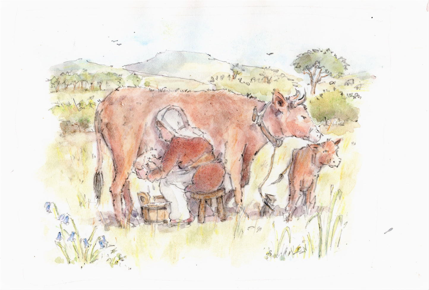 Illustration for Wensleydale Dairy Days project