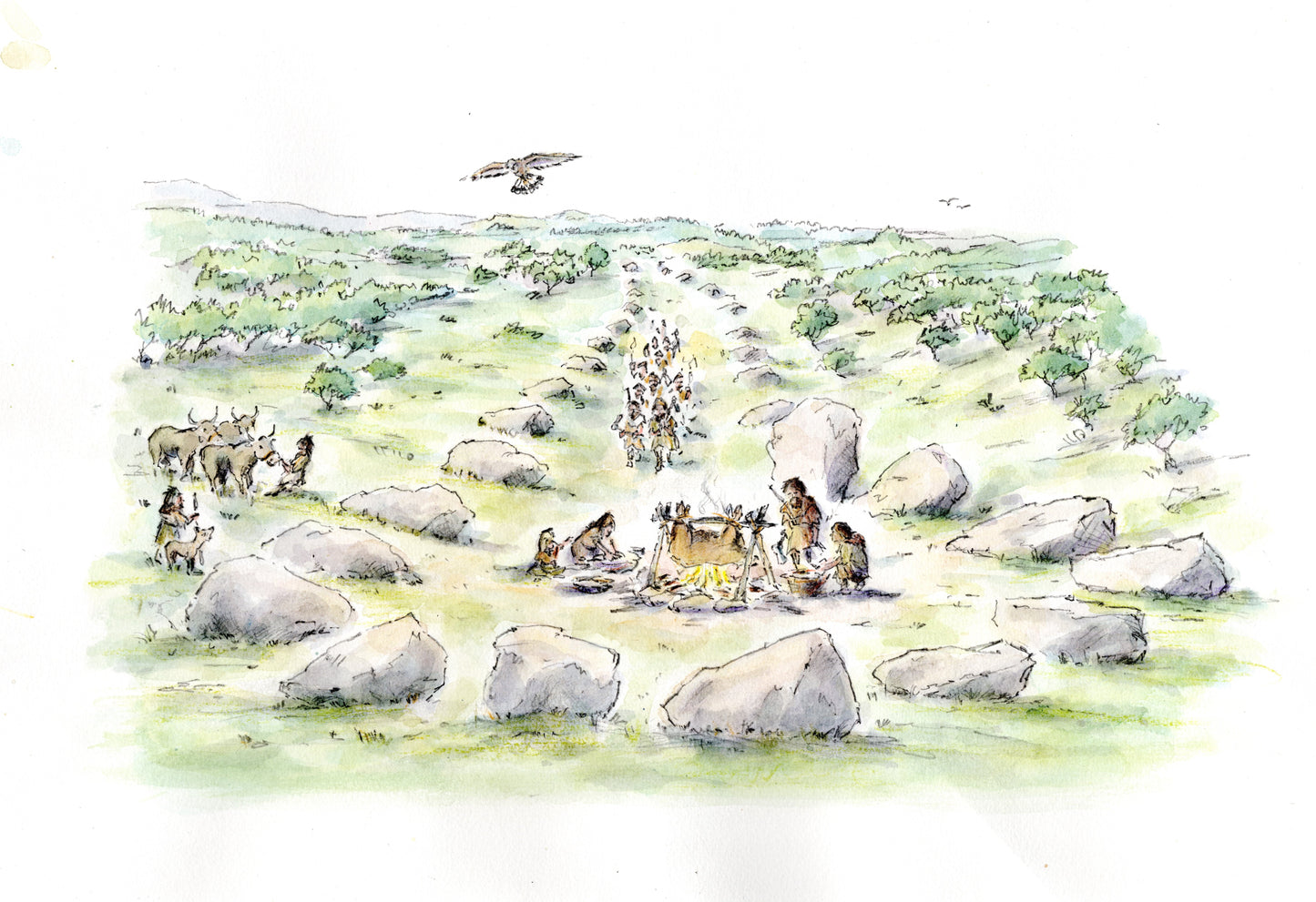 Shap Stone Avenue