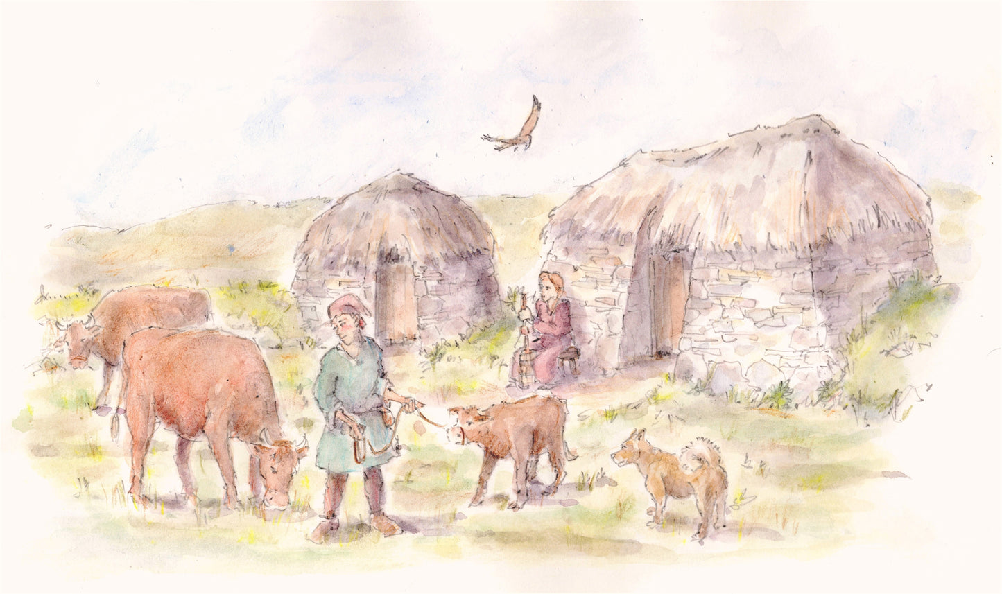Illustration for Wensleydale Dairy Days project