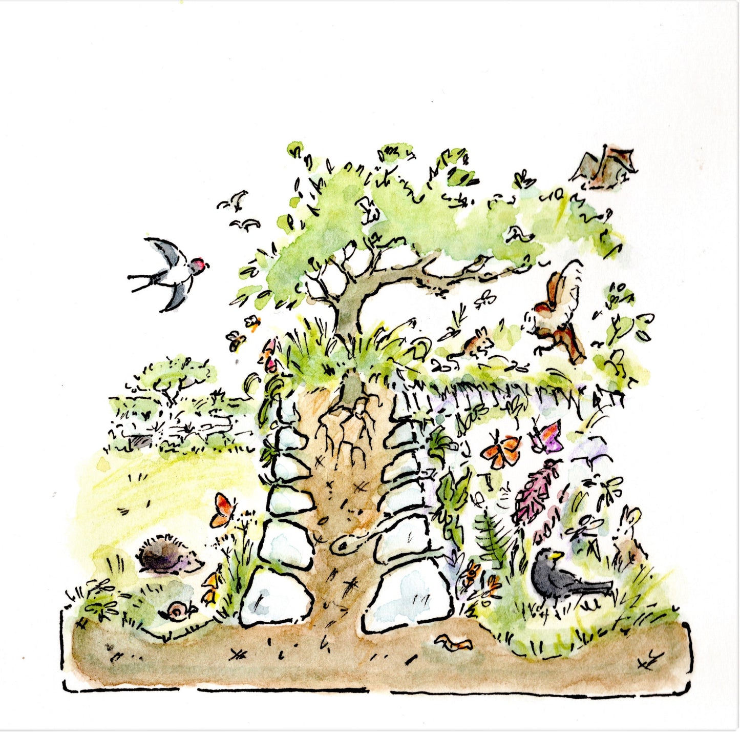 Illustrations for Cornwall National Landscape Management Plan